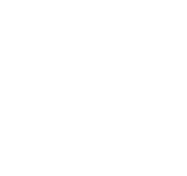 TD Logo Mark