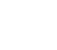 TD Logo Mark